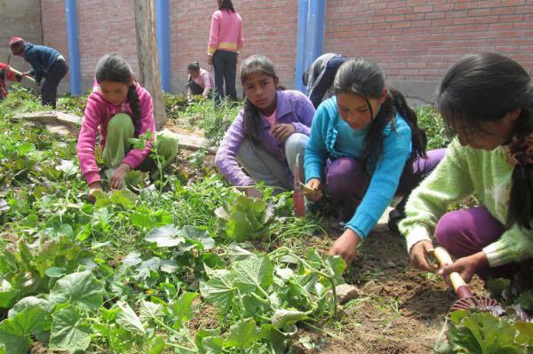 Gemeinsam wird der Boden bereitet, gepflanzt und geerntet. Gemeinsam wird der Boden bereitet, gepflanzt und geerntet.